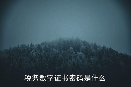 輸入稅務數(shù)字證書密碼是什么，稅務數(shù)字證書密碼是什么