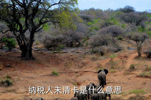 稅務(wù)未清分是什么意思，清稅證明已開但是工商系統(tǒng)一定顯示稅務(wù)未清理完成是怎么回事