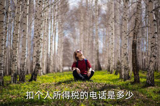 成都查個稅打什么電話，如何查詢個人所得稅明細