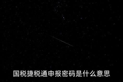 稅務軟件申報密碼是什么意思，納稅申報密碼是什么