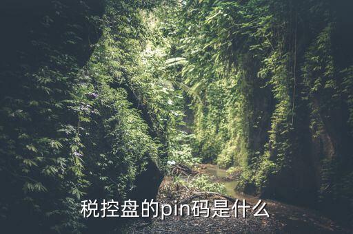 報稅pin口令是什么，稅控盤的pin碼是什么