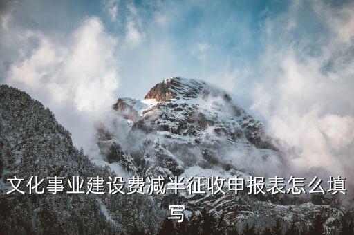 什么叫文化事業(yè)建設(shè)費(fèi)申報(bào)表，文化事業(yè)建設(shè)費(fèi)申報(bào)表怎么填
