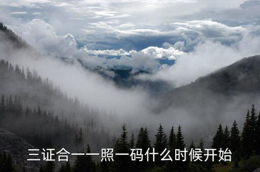 三證合一到什么時候，三證合一一照一碼什么時候開始