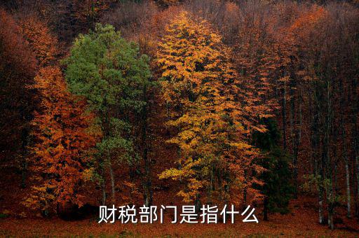 財稅征收保障網(wǎng)是什么，財稅部門是指什么