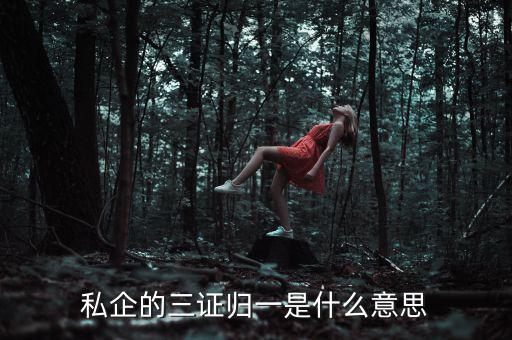 公司的三證合一是什么，什么是三證合一