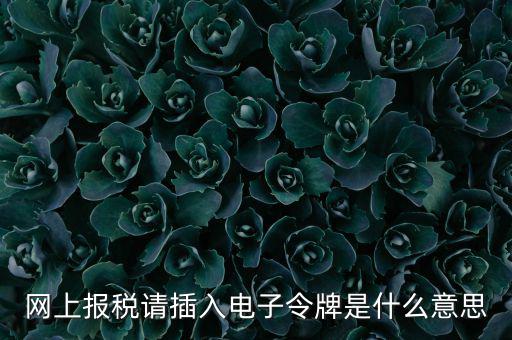 網(wǎng)上報(bào)稅請插入電子令牌是什么意思