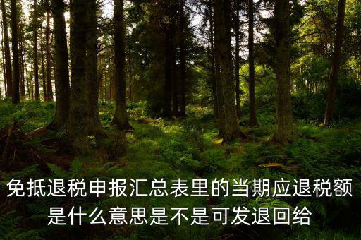 免抵退貨物應(yīng)退稅額是什么意思，免抵退應(yīng)退稅額是什么意思