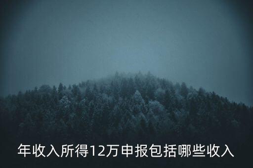 十二萬(wàn)申報(bào)是什么，12萬(wàn)個(gè)稅申報(bào)有什么用