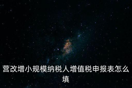 營改增需要填什么表，營改增小規(guī)模納稅人網(wǎng)上納稅申報(bào)需要填寫幾張表