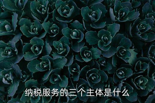 納稅服務(wù) 是什么，納稅服務(wù)的三個(gè)主體是什么
