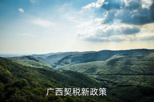 廣西的稅收什么時(shí)候?qū)嵭幸话阌?jì)稅，2022年的廣西稅率