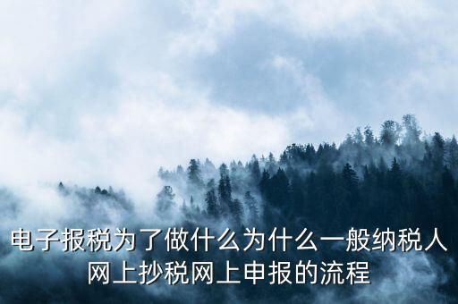 電子稅務(wù)申報(bào)是什么來的，電子申報(bào)納稅是怎么回事給報(bào)送紙質(zhì)申報(bào)材料一樣嗎