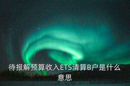 地稅b戶是什么，待報解預(yù)算收入ETS清算B戶是什么意思