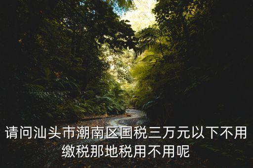 國稅3萬元不到地稅要交什么稅，請問汕頭市潮南區(qū)國稅三萬元以下不用繳稅那地稅用不用呢