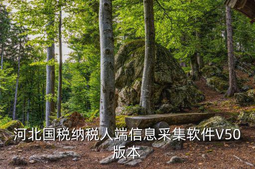 河北省網(wǎng)上報稅用什么軟件，河北國稅納稅人端信息采集軟件V50版本