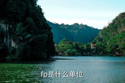 FP  amp  A 什么職位，fp是什么單位