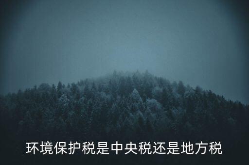 環(huán)境保護(hù)稅的機(jī)關(guān)是什么，環(huán)境保護(hù)稅由哪個(gè)機(jī)關(guān)負(fù)責(zé)征收
