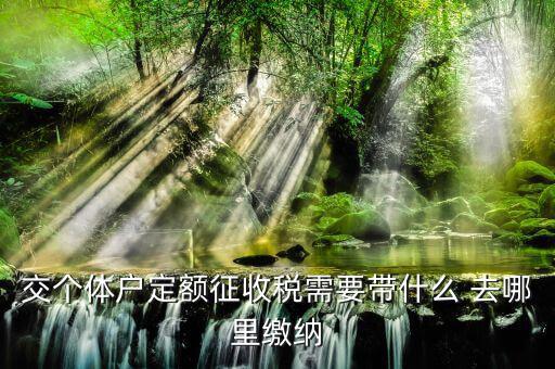 個體戶定額需要準(zhǔn)備什么，交個體戶定額征收稅需要帶什么 去哪里繳納
