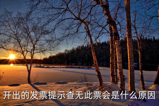 開出的發(fā)票提示查無(wú)此票會(huì)是什么原因
