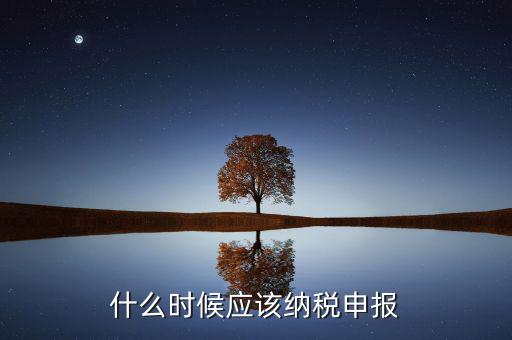 消費稅什么時候申報，什么時候應(yīng)該納稅申報