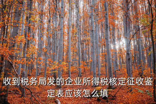 去稅務(wù)局核定征收填什么，核定征收企業(yè)報所得稅在去稅務(wù)局核定時需要拿什么資料