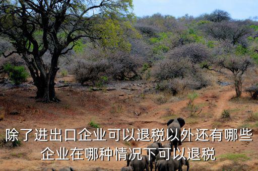 中國(guó)什么公司可以退稅，除了進(jìn)出口企業(yè)可以退稅以外還有哪些企業(yè)在哪種情況下可以退稅