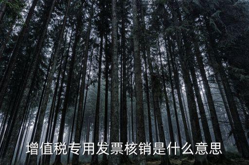 發(fā)票管家是什么，發(fā)票開(kāi)票系統(tǒng)KEY是什么