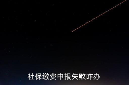 社保費(fèi)申報(bào)為什么進(jìn)不去，社保繳費(fèi)申報(bào)失敗咋辦