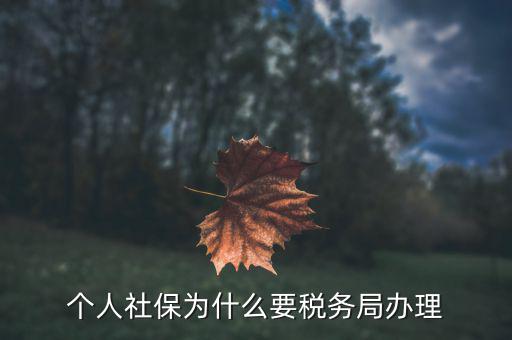 社會(huì)保險(xiǎn)繳納和稅務(wù)局什么關(guān)系，社保為什么要稅務(wù)部門征收