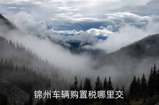 錦州國稅局車輛購置部門是什么，錦州機動車購置稅在哪里交