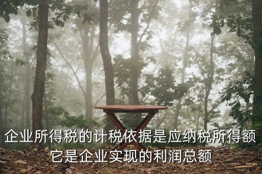 企業(yè)所得稅的計稅依據(jù)是應納稅所得額它是企業(yè)實現(xiàn)的利潤總額