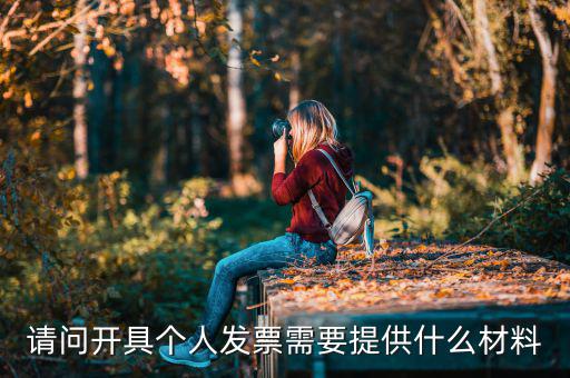 個人發(fā)票需要什么資料，個人購物開增值稅普通發(fā)票需要什么資料