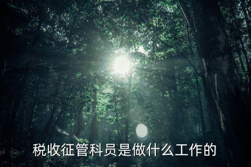 國(guó)稅局征管員和企業(yè)要做什么，稅收征管的公務(wù)員主要做什么工作