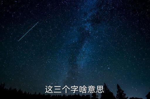 金三系統(tǒng)是什么意思，會計證外借給公司掛靠什么也沒做就被金三系統(tǒng)監(jiān)控了