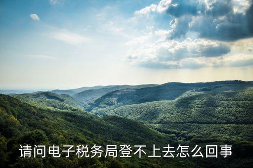 貴州省電子稅務(wù)局為什么進(jìn)不去，請問電子稅務(wù)局登不上去怎么回事