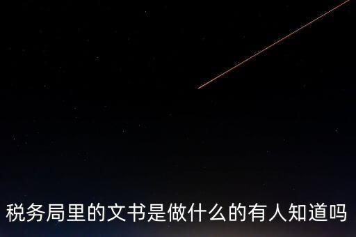 稅務局里的文書是做什么的有人知道嗎