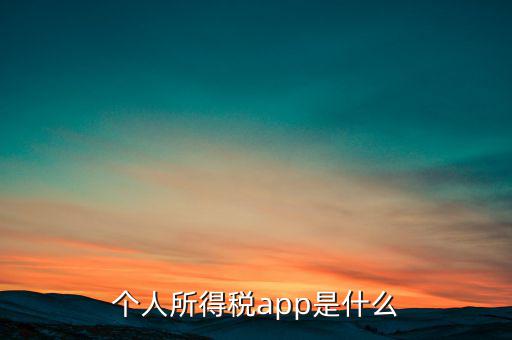 網(wǎng)上交稅要下載什么東西，個(gè)人所得稅官網(wǎng)登錄企業(yè)個(gè)人所得稅要下載什么端口申報(bào)