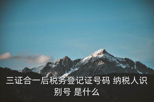 三證合一納稅識(shí)別號(hào)是什么，三證合一后納稅人識(shí)別號(hào)是什么意思