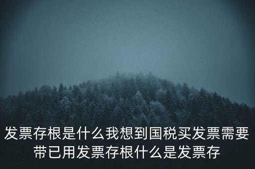 發(fā)票電子存根是什么，發(fā)票存根是什么
