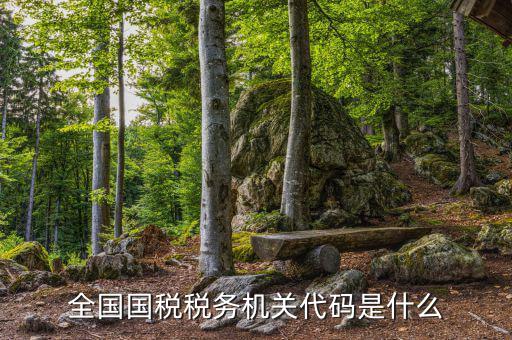 國稅的用戶代碼是什么，國稅局發(fā)票軟件里用戶代碼和密碼是什么