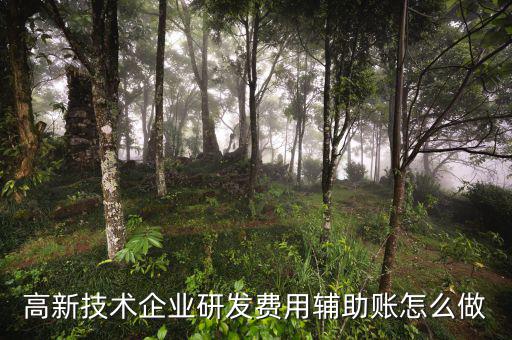 研發(fā)支出輔助賬是什么時候填，什么企業(yè)需要填 研發(fā)支出輔助賬匯總表