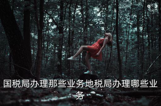 地稅辦理什么業(yè)務(wù)，國(guó)稅局辦理那些業(yè)務(wù)地稅局辦理哪些業(yè)務(wù)
