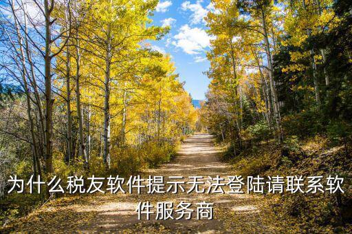 稅友的注冊編碼是什么，龍山稅友 網上電子報稅系統(tǒng)中的注冊編碼是什么