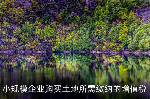 公司購買土地需要交什么稅，小規(guī)模企業(yè)購買土地所需繳納的增值稅