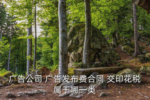 線上廣告發(fā)布屬于什么印花稅，廣告公司 廣告發(fā)布費 交印花稅屬于哪一類