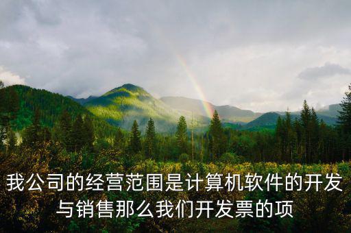 我公司的經(jīng)營范圍是計算機(jī)軟件的開發(fā)與銷售那么我們開發(fā)票的項(xiàng)