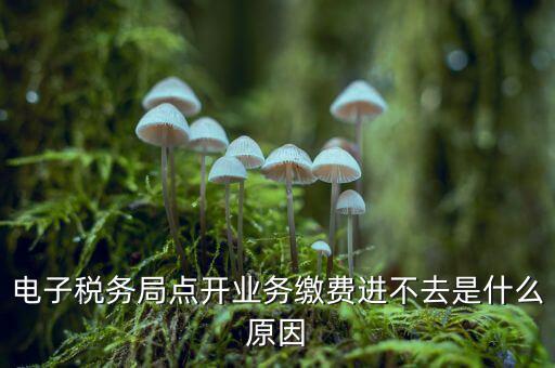為什么江蘇省電子稅務(wù)局進不去，請問電子稅務(wù)局登不上去怎么回事