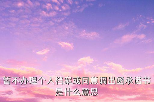 稅務(wù)調(diào)函是什么意思，暫不辦理個(gè)人檔案或同意調(diào)出函承諾書(shū)是什么意思