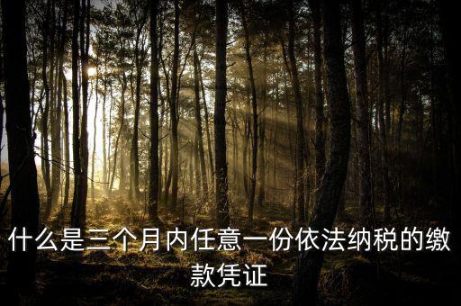 什么是三個月內任意一份依法納稅的繳款憑證