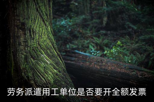 勞務派遣開什么票，勞務派遣小時工發(fā)票怎么開